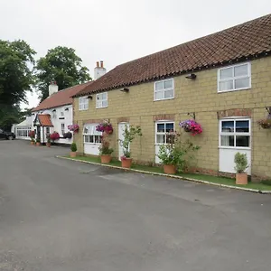 Greyhound Ganton